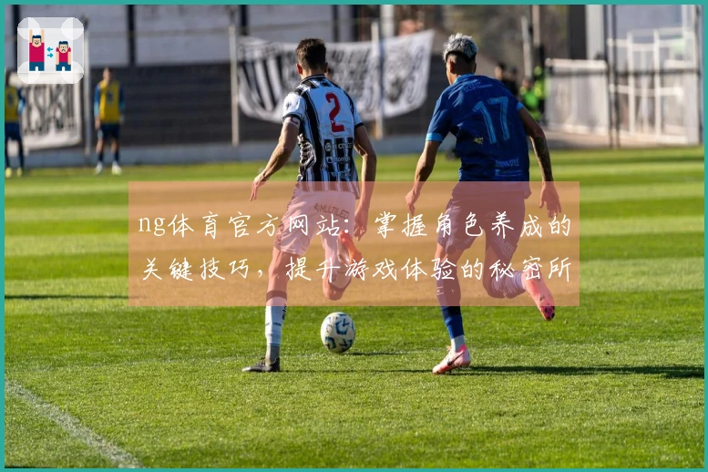 ng体育官方网站:掌握角色养成的关键技巧,提升游戏体验的秘密所在