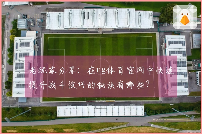 老玩家分享：在ng体育官网中快速提升战斗技巧的秘诀有哪些？